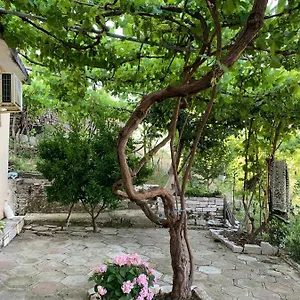 logli-house.albaniahotels.org/